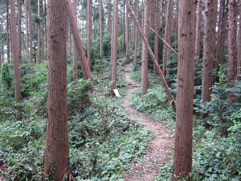20191017hike (68)